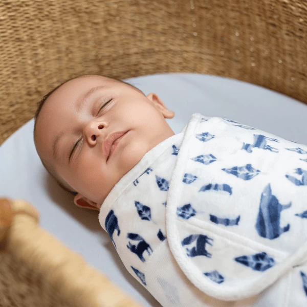Aden + Anais™ Essential S Easy Swaddle™ Pucksack 1.5 TOG 3-pack Scandinavian Sky Velboa 0-3 Maanden 4 Aden + Anais™ Essential S Easy Swaddle™ Pucksack 1.5 TOG 3-pack Scandinavian Sky Velboa 0-3 Maanden - Afbeelding 4