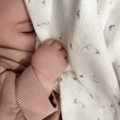 Aden + Anais™ Essential S Zijdezachte Puckdoek 2-pack Healing Nature 120 X 120 C -Babyverzorging Deals aden anais essential s zijdezachte puckdoek 2 pack healing nature 120 x 120 c a383655 4