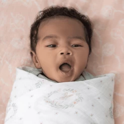 Aden +anais™ Musslin Puck Cloth 4-Pack Blusching Bunnies 112 X 112 -Babyverzorging Deals aden anais musslin puck cloth 4 pack blusching bunnies 112 x 112 a410134 3