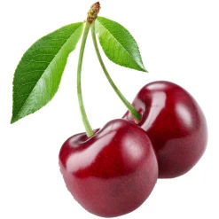 BabyJem Kersenpit Verwarmingsgordel Wit -Babyverzorging Deals babyjem kersenpit verwarmingsgordel wit a281660 4