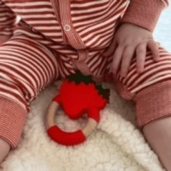 Nibbling Bijtring "Super Food" Aardbei -Babyverzorging Deals nibbling bijtring super food aardbei a335547 4