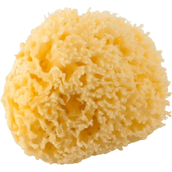 Rotho Babydesign Mediterrane Badspons 2 Rotho Babydesign Mediterrane Badspons - Afbeelding 2