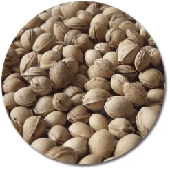 THERALINE Kersenpittenkussen 19 X 19 Cm Gestipt Grijs 7 THERALINE Kersenpittenkussen 19 X 19 Cm Gestipt Grijs -Babyverzorging Deals theraline kersenpittenkussen 19 x 19 cm gestipt grijs a272468 2