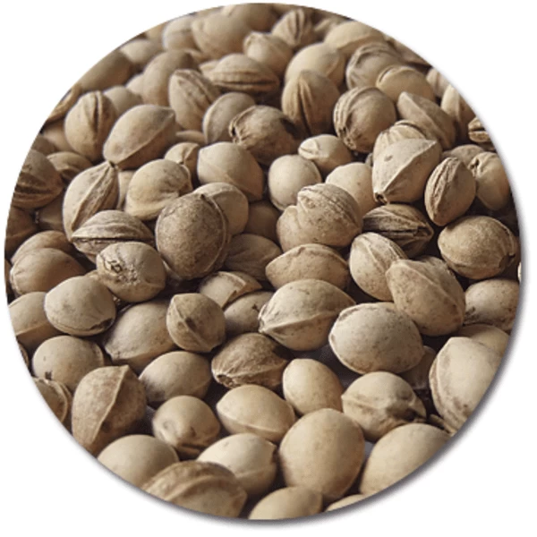 THERALINE Kersenpittenkussen 19 X 19 Cm Sterrenhemel 3 THERALINE Kersenpittenkussen 19 X 19 Cm Sterrenhemel - Afbeelding 3